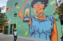 Artistic Half Day Tour of Johannesburg