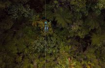 Adventurous Zipline Tour in Coromandel 