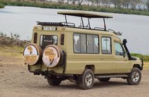 4-Day Tanzania Private Luxury Drive In-Drive Out Safari 2025-2026
