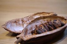 The Turin Chocolate Tasting Experience
