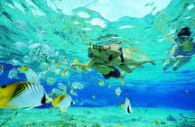 Marsa Mubarak Snorkeling Adventure with Optional Diving