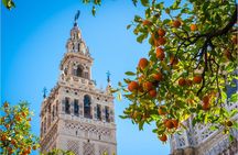 Cathedral, Alcazar and Giralda Guided Tour with Priority Tickets 