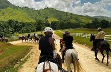 Punta Cana Horse Riding for Beaches in Field