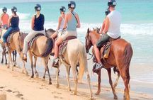 Punta Cana Horse Riding for Beaches in Field