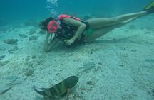 From Abu Dhabi: Try Diving experience and Snorkeling in Fujairah