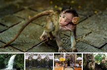 Best of Bali Ubud Tour and Surrounding