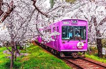 4-Day Private Kyoto Osaka Nara Sightseeing Tour with Guide 