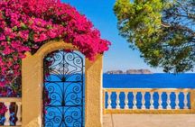 Mykonian Mosaic Tour for the First Time Visitors from Cruise Port