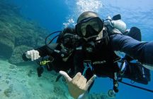 From Abu Dhabi: 2 Dives for Certified Divers in Fujairah