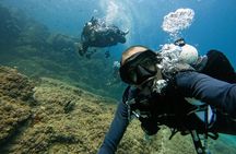 From Abu Dhabi: 2 Dives for Certified Divers in Fujairah