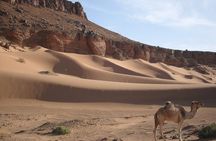 2 days in the desert from Marrakech