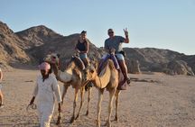 Hurghada Desert Sunset & Stargazing Tour with Dinner by Jeep