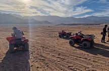 Desert Adventure: Quad & Camel Ride Safari from Sharm El-Sheikh