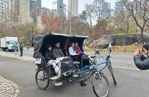 Private 2 Hour Central Park Pedicab Tour with Guide