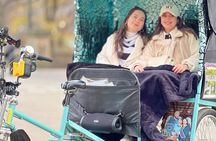 Private 2 Hour Central Park Pedicab Tour with Guide