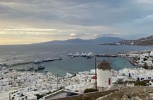 Private Tour: 4 Hours Mykonos Island Tour - Like a Local