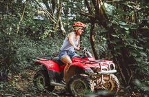 Cozumel Jungle ATV Adventure and Unlimited Beach Break