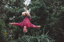 Cozumel Jungle Zip Line Adventure and Snorkeling with Lunch