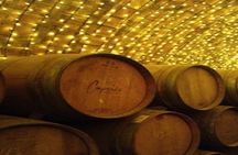 Private Experience of Tequila Town from Jalisco