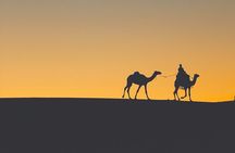 Siwa Oasis Camel Ride & Sandboarding Sunset or Sunrise 
