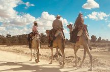 Siwa Oasis Camel Ride & Sandboarding Sunset or Sunrise 