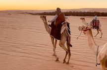 Siwa Oasis Camel Ride & Sandboarding Sunset or Sunrise 
