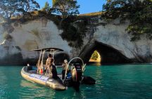 Cathedral Cove Marine Reserve - Specialised Boat Snorkeling