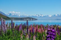 Mt Cook to Lake Tekapo Small Group Tour (one-way)