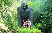 Private Bali Quad Bike with Professional Ride Instructor