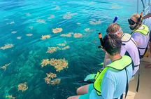 Snorkeling Adventure in Tulum Beach, Kaan Luum Lagoon and Cenote