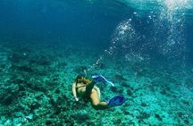 Snorkeling Adventure in Tulum Beach, Kaan Luum Lagoon and Cenote
