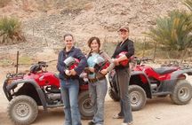 Quad Bike Trip to Wadi Gunai from Dahab