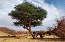 Quad Bike Trip to Wadi Gunai from Dahab