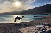Quad Bike Trip to Wadi Gunai from Dahab
