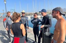 Scuba Adventure – 2 Guided Dives from Our Boat in Tenerife