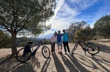 Montes de Malaga Natural Park E-Mountain Bike Tour