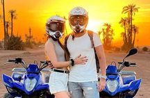 Marrakech Palmeraie Quad Bike Desert Adventure
