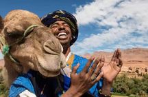 1 hour Shared Camel Ride in Palmeraie