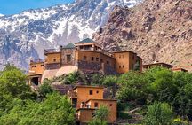 Agafay Desert Quad & Camel Rides, Ourika Valley & Dinner Show