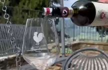Wine tasting in TWO family wineries around Florence
