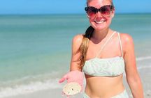 Private Barrier Island Shelling Tour