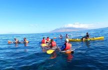 Clear Kayak and Snorkel Tour at Turtle Town, Makena 