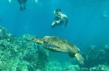 Clear Kayak and Snorkel Tour at Turtle Town, Makena 