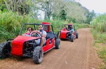 Cumayasa Private Buggies Tour from Santo Domingo