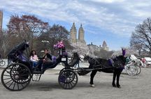 NYC Empire State Horses Carriage Ride in Central Park (45 Mins)