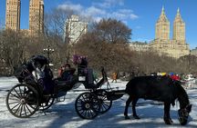 NYC Empire State Horses Carriage Ride in Central Park (45 Mins)