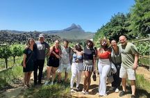 Full Day Small Group Wine Tour Cape Town and Stellenbosch 