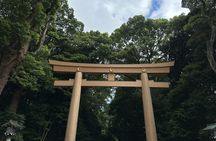 Meiji Jingu Shrine — Japanese Nature Wellness Experience