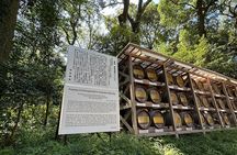 Meiji Jingu Shrine — Japanese Nature Wellness Experience