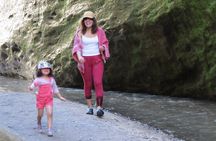 Waterfall Hike & Hot springs (PRIVATE TOUR)